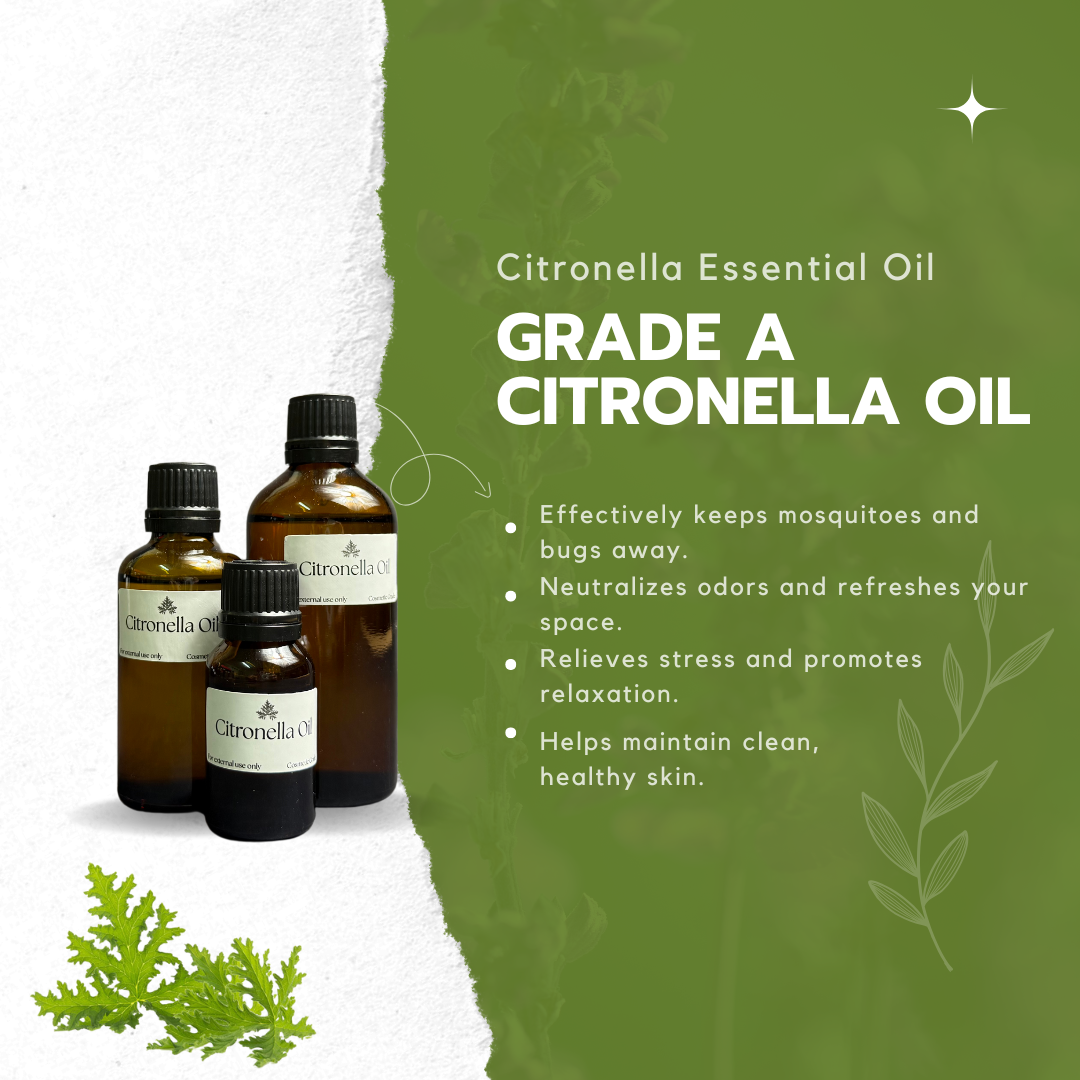 Citronella Essential Oil